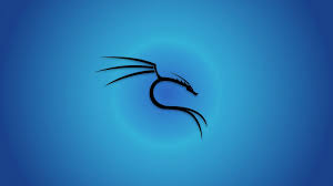Kali Linux: Libérez le Pouvoir du Pentesting